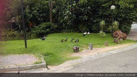 照片 - 20150703IF HOUSE踩點 (4)