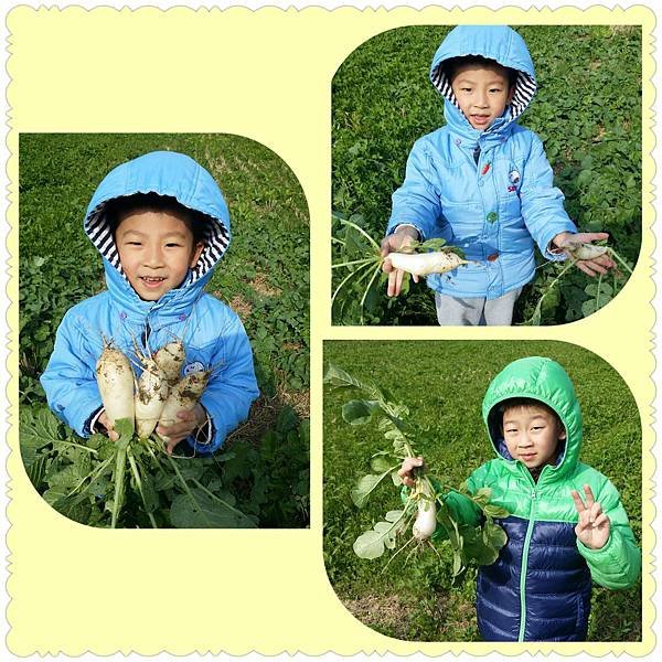 PhotoGrid_1421474800945.jpg
