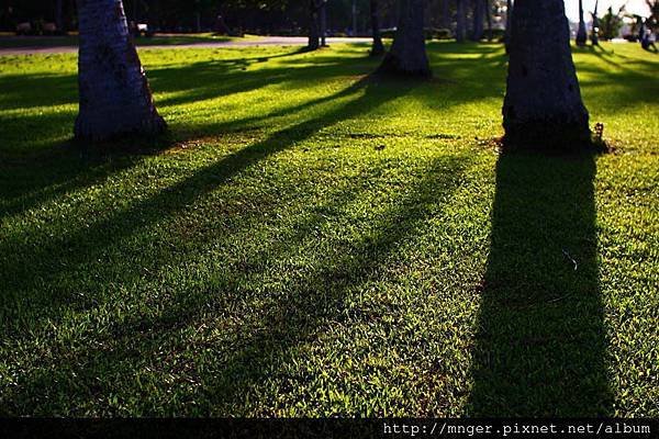 IMG_1377.jpg