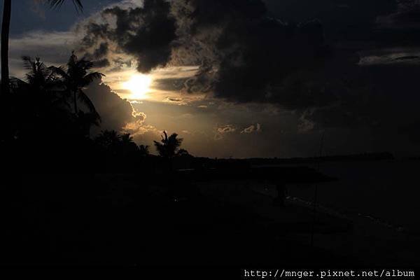 IMG_1459.jpg