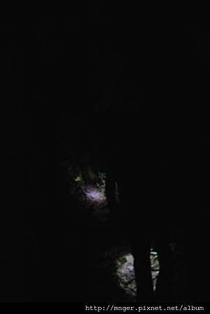 IMG_5646.jpg