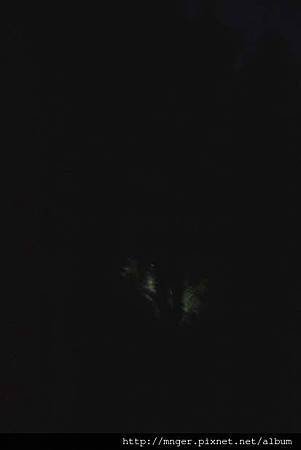 IMG_5647.jpg