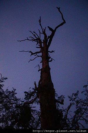 IMG_5666.jpg