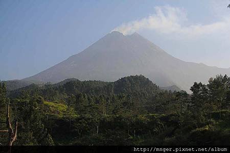 IMG_5735.jpg