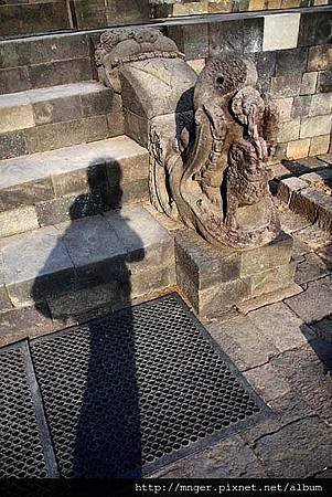 IMG_5862.jpg