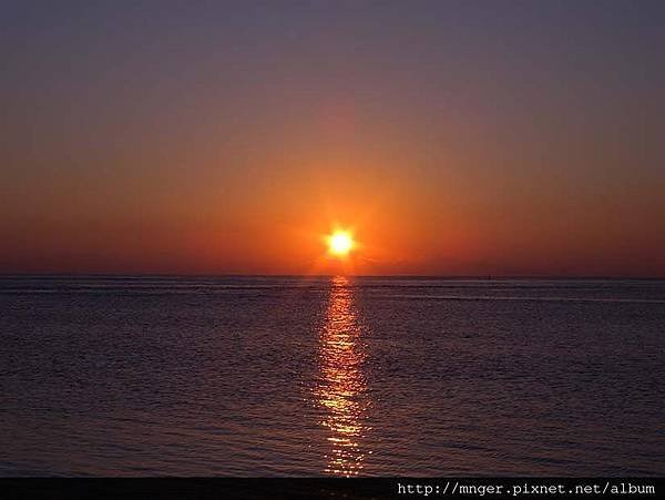 DSCN1294.jpg