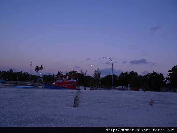 DSCN1337.jpg