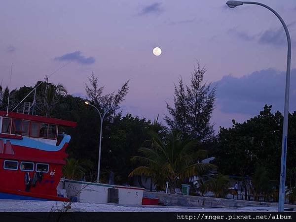 DSCN1339.jpg