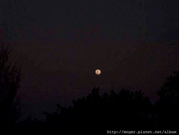 DSCN1354.jpg