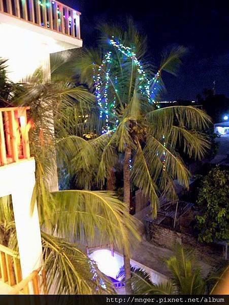 DSCN1414.jpg