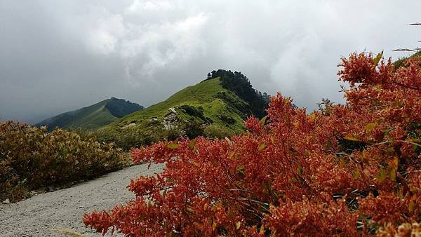 20181002_122818.jpg