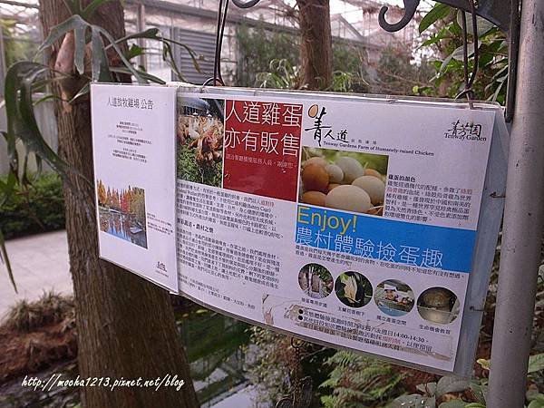 R1179083.JPG