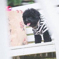 IMG_0347
