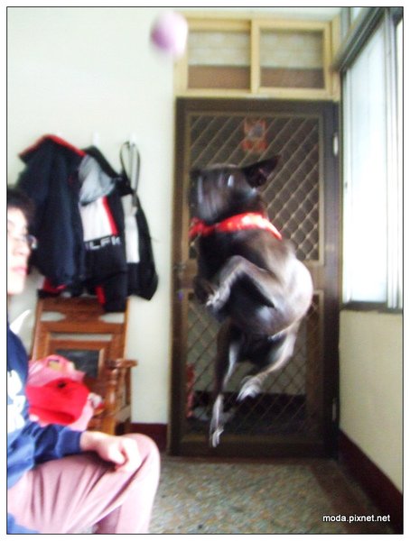 DSCF1868.JPG