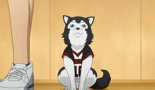 05