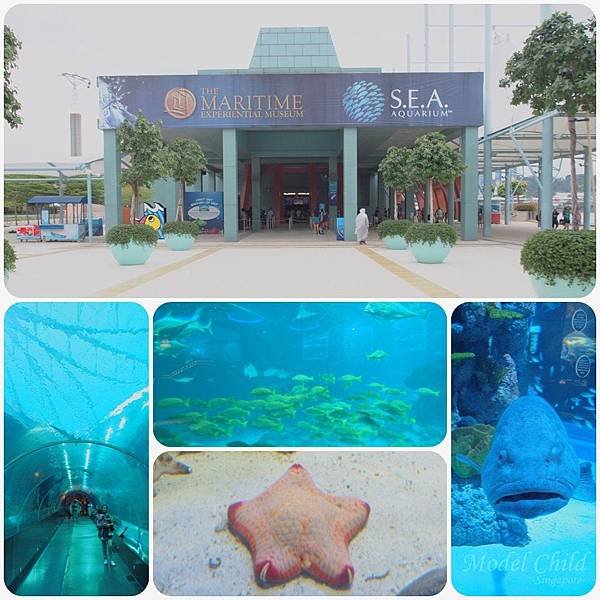 新加坡Day2-S.E.A海洋館_8688
