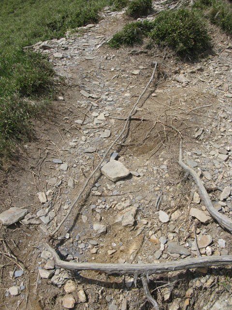 033.jpg