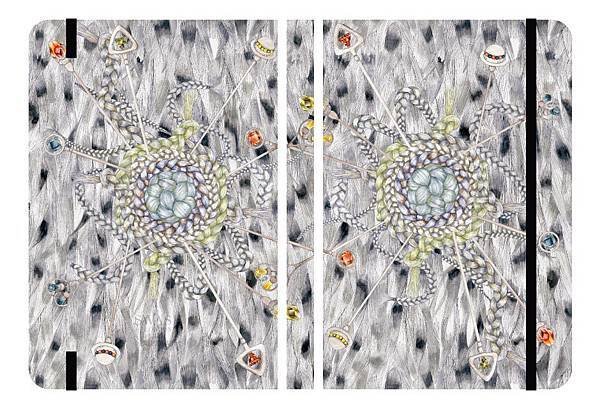 swash_grey_cover_spread