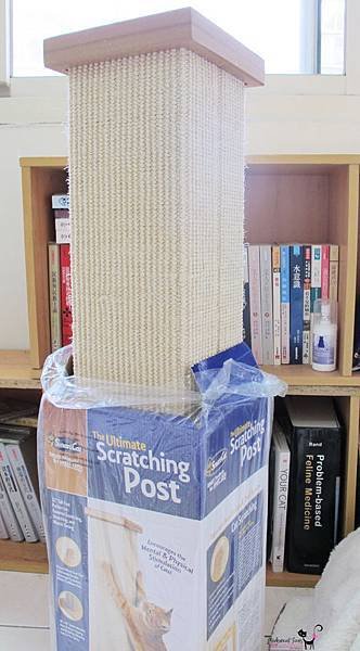 Ultimate Scratching Post1.jpg