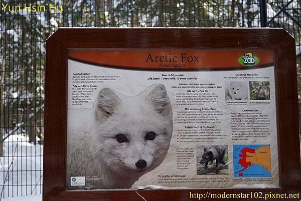 DSC02861 (640x427) (640x427)