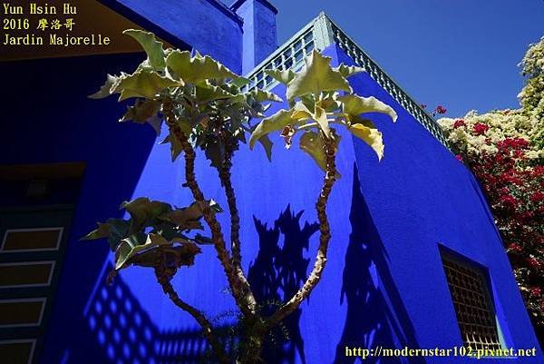 1050412Jardin MajorelleDSC00325 (640x427).jpg