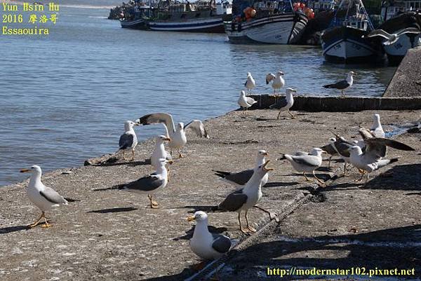 1050413Essaouira894A0439 (640x427).jpg