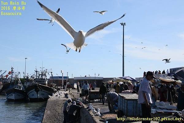 1050413Essaouira894A0490 (640x427).jpg