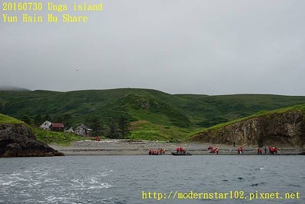 20160730Unga islandDSC01991 (640x427).jpg