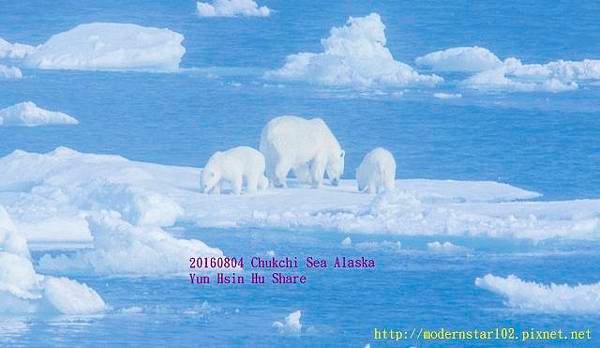 20160804Chukchi Sea polar bear3894A9524-1 (640x371).jpg