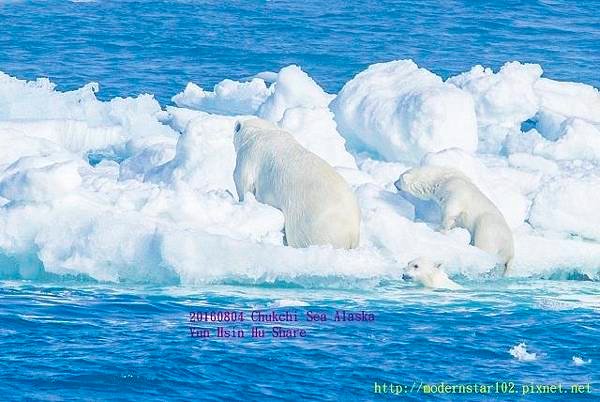 20160804Chukchi Sea polar bear3894A9756-1 (640x428).jpg