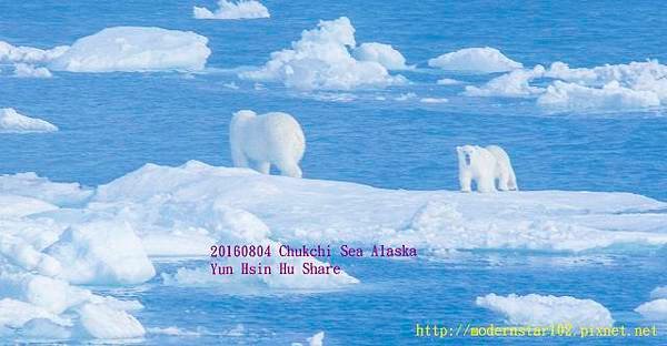 20160804Chukchi Sea polar bear3894A9592-1 (640x332).jpg