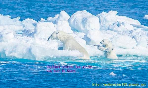 20160804Chukchi Sea polar bear3894A9750-1 (640x381).jpg