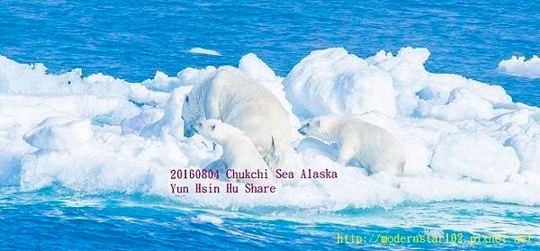 20160804Chukchi Sea polar bear3894A9768-1 (640x297).jpg