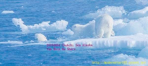 20160804Chukchi Sea polar bear3894A0092-1 (640x288).jpg