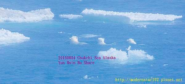 20160804Chukchi Sea polar bear3894A0123-1 (640x291).jpg