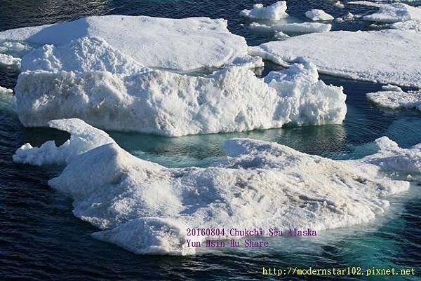 20160804Chukchi Sea polar bear894A0166 (640x427).jpg