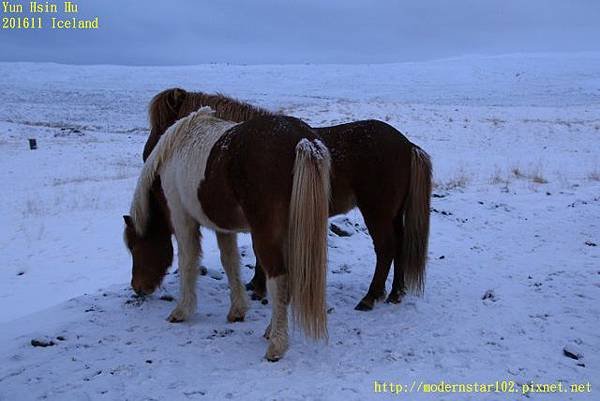 201611Iceland Day5894A1380 (640x427).jpg