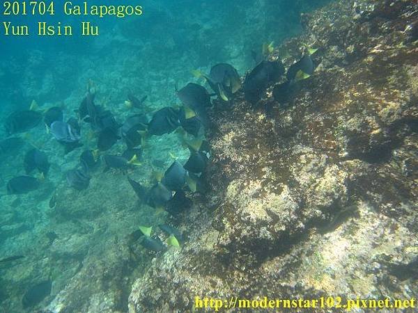 10604GalapagosIMG_0307 (640x480).jpg