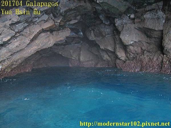 10604GalapagosIMG_0564 (640x480).jpg