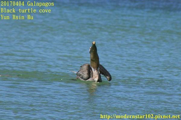 1060404Galapagos894A0425 (640x426).jpg