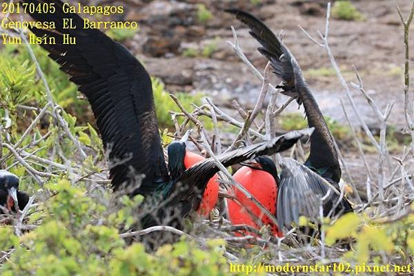 1060405 EL Barranco894A1032 (640x427).jpg