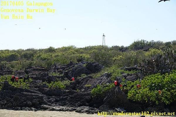 1060405 Darwin BayDSC06150 (640x427).jpg