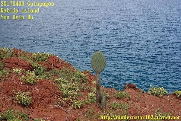 1060406 Rabida islandDSC06897 (640x427).jpg