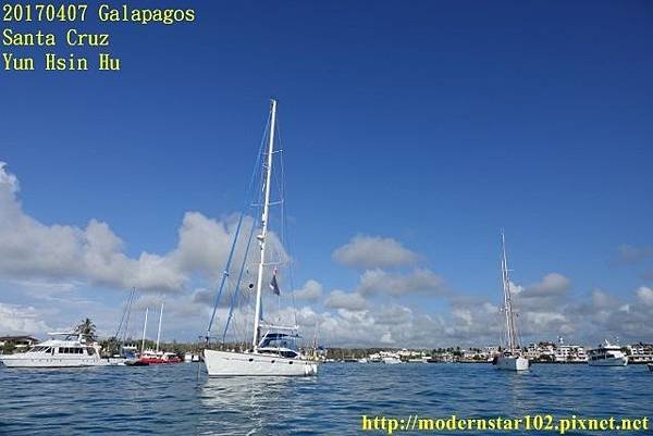 1060407 Santa CruzDSC07197 (640x427).jpg