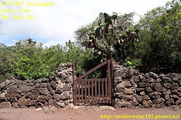 1060407 Santa CruzDSC07445 (640x427).jpg