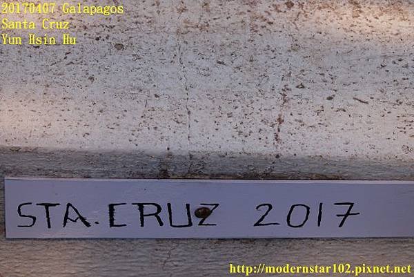 1060407 Santa CruzDSC07466 (640x427).jpg