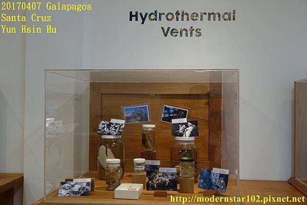 1060407 Santa CruzDSC07563 (640x427).jpg