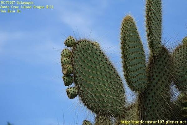 1060408 Dragon HillDSC08573 (640x427).jpg