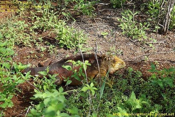 1060408 Dragon HillDSC08595 (640x427).jpg