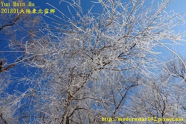 20170103-04霧淞島DSC09050 (640x427).jpg